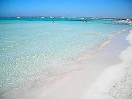 Ca'n Bonico Hotel 4*